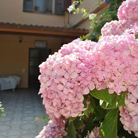 Hotel La Pineta Arborea Luaran gambar
